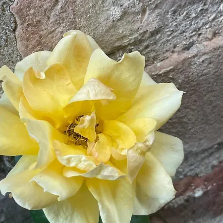 La Piazzetta Del Borgo - Bianchini Apartment Todi