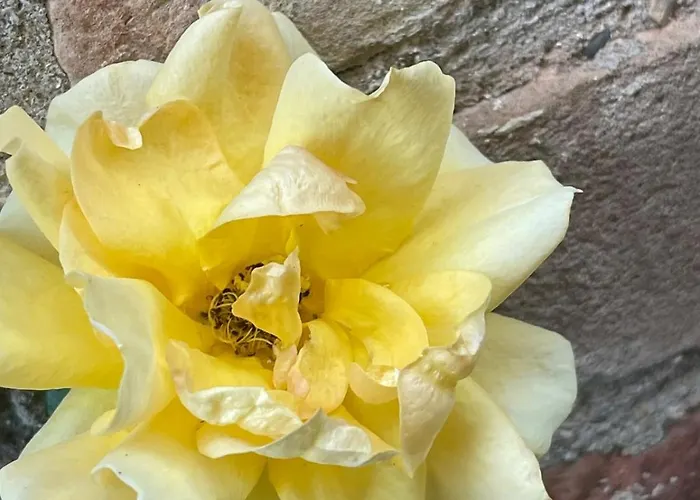 La Piazzetta Del Borgo - Bianchini Apartment Todi